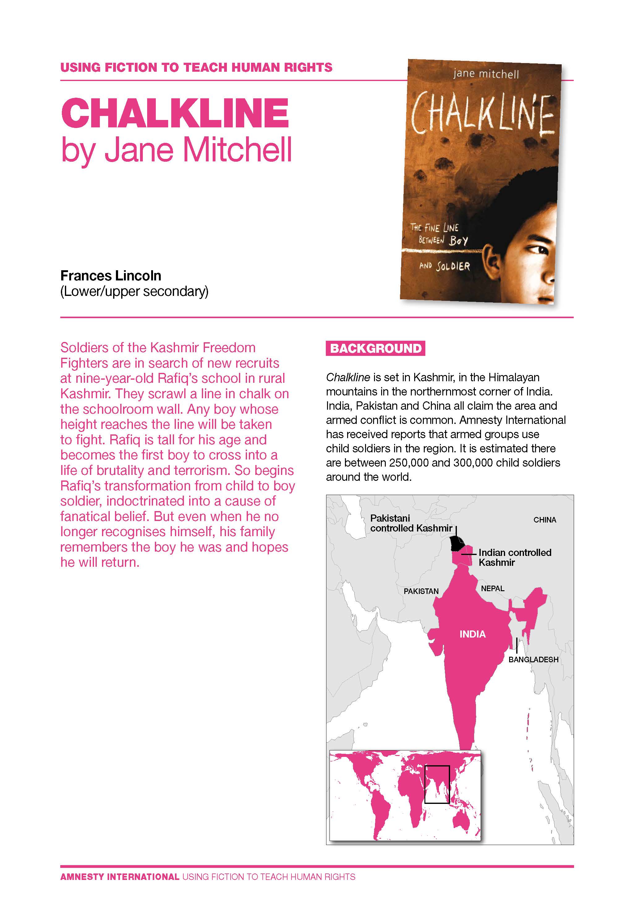 Cover of Amnesty Guide